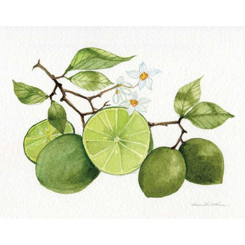 Citrus Garden VII White Modern Wood Framed Art Print by McKenna, Kathleen Parr