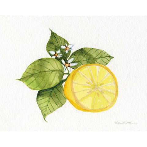 Citrus Garden IX Black Modern Wood Framed Art Print by McKenna, Kathleen Parr