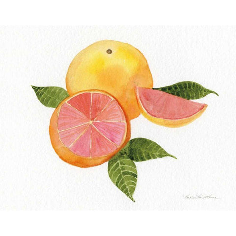 Citrus Garden X Black Modern Wood Framed Art Print by McKenna, Kathleen Parr