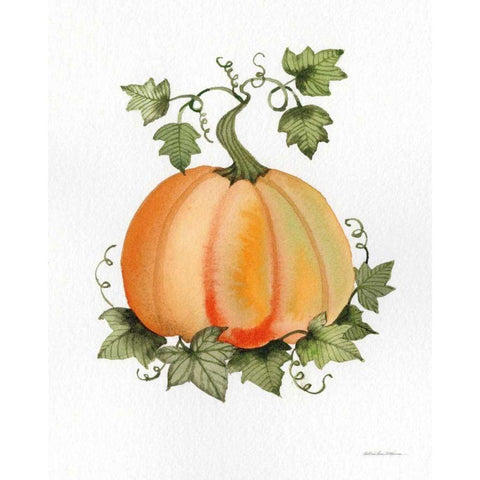 Pumpkin and Vines II Black Modern Wood Framed Art Print by McKenna, Kathleen Parr