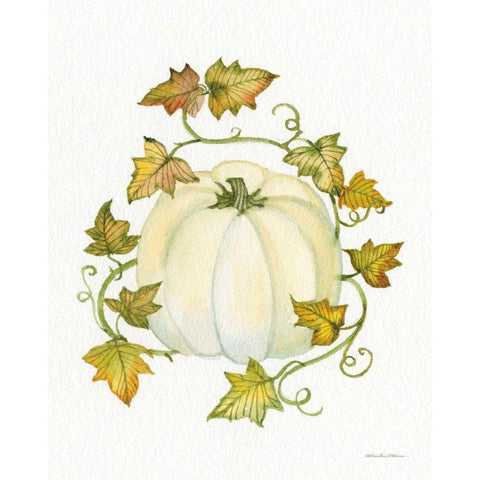 Pumpkin and Vines III White Modern Wood Framed Art Print by McKenna, Kathleen Parr