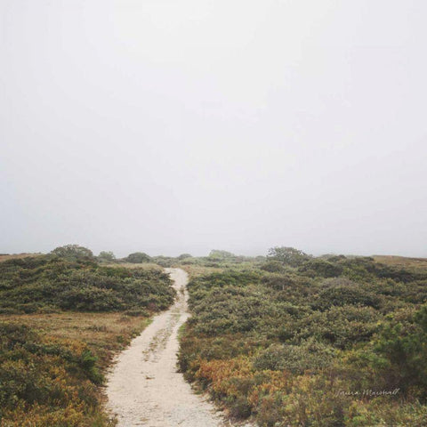 Off the Beaten Path White Modern Wood Framed Art Print with Double Matting by Marshall, Laura