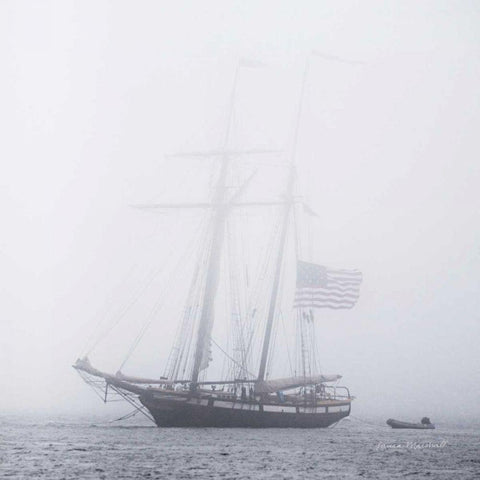 Through the Mist White Modern Wood Framed Art Print by Marshall, Laura