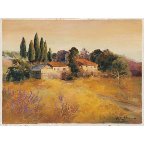 Cerrito di Spoleto Gold Ornate Wood Framed Art Print with Double Matting by Hageman, Marilyn