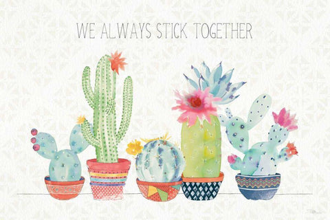 Sweet Succulents I White Modern Wood Framed Art Print with Double Matting by Pela Studio