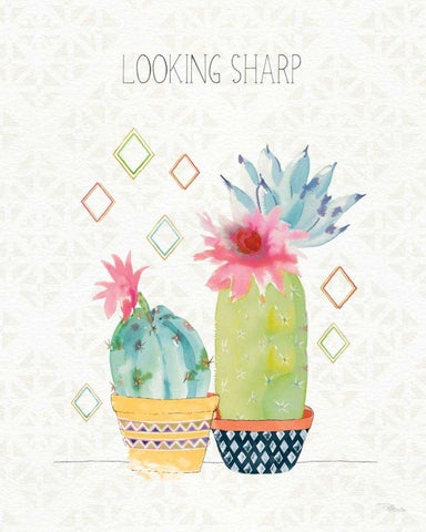 Sweet Succulents III Black Ornate Wood Framed Art Print with Double Matting by Pela Studio