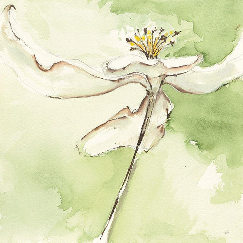 After Dogwood II Gold Ornate Wood Framed Art Print with Double Matting by Paschke, Chris