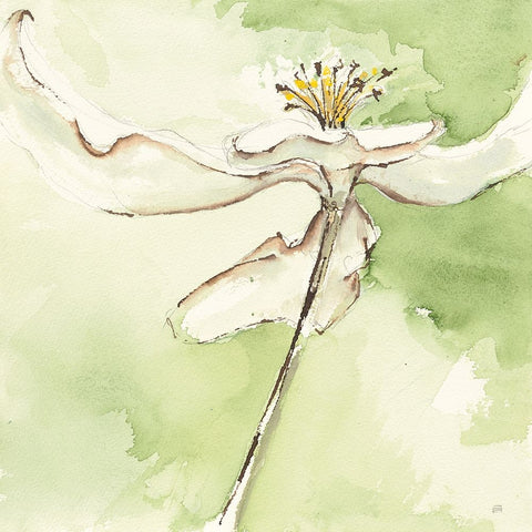 After Dogwood II Black Ornate Wood Framed Art Print with Double Matting by Paschke, Chris