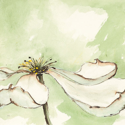 After Dogwood I White Modern Wood Framed Art Print with Double Matting by Paschke, Chris