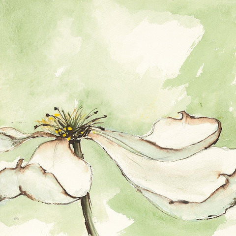 After Dogwood I White Modern Wood Framed Art Print by Paschke, Chris