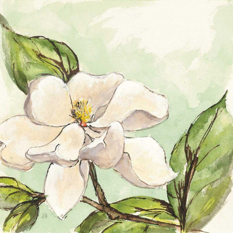 Magnolia I Black Ornate Wood Framed Art Print with Double Matting by Paschke, Chris
