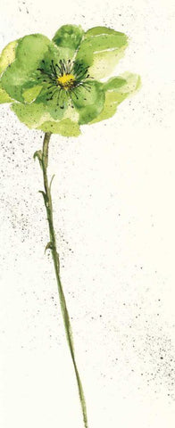 Mint Poppies I Crop White Modern Wood Framed Art Print with Double Matting by Paschke, Chris