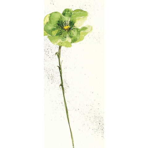 Mint Poppies I Crop Black Modern Wood Framed Art Print with Double Matting by Paschke, Chris