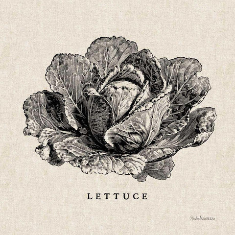 Burlap Vegetable BW Sketch Lettuce White Modern Wood Framed Art Print with Double Matting by Studio Mousseau