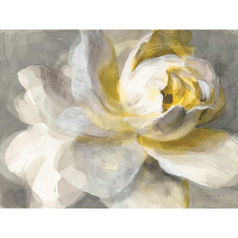 Abstract Rose White Modern Wood Framed Art Print by Nai, Danhui