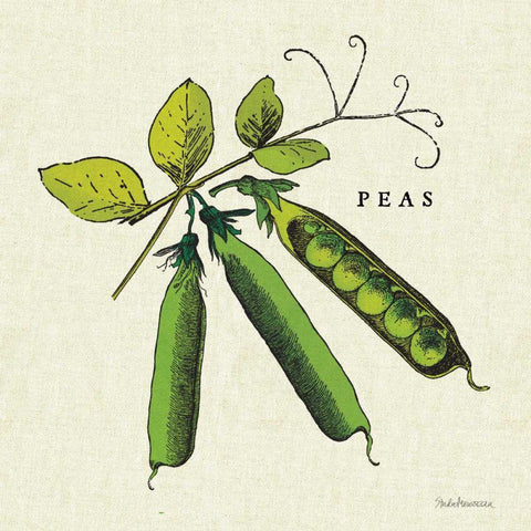 Linen Vegetable IV v2 Black Modern Wood Framed Art Print by Studio Mousseau