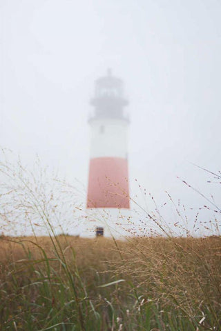 Sankaty Head in the Fog Black Ornate Wood Framed Art Print with Double Matting by Marshall, Laura
