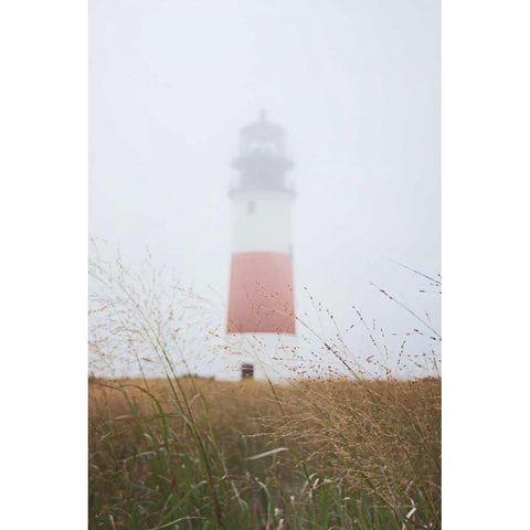 Sankaty Head in the Fog Black Modern Wood Framed Art Print by Marshall, Laura