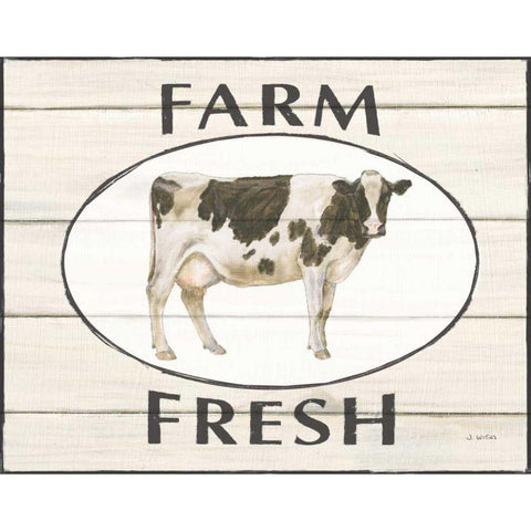 Country Cow IV White Modern Wood Framed Art Print by Wiens, James