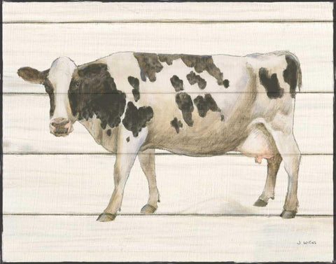 Country Cow VI Black Ornate Wood Framed Art Print with Double Matting by Wiens, James
