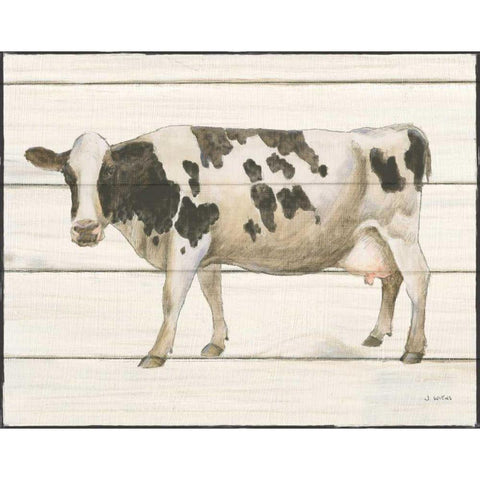 Country Cow VI Black Modern Wood Framed Art Print with Double Matting by Wiens, James