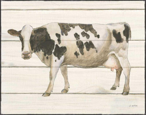 Country Cow VI White Modern Wood Framed Art Print with Double Matting by Wiens, James