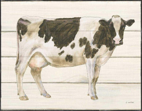 Country Cow VII White Modern Wood Framed Art Print with Double Matting by Wiens, James