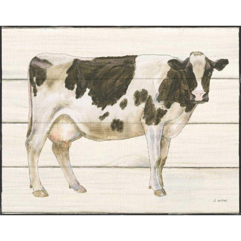 Country Cow VII White Modern Wood Framed Art Print by Wiens, James