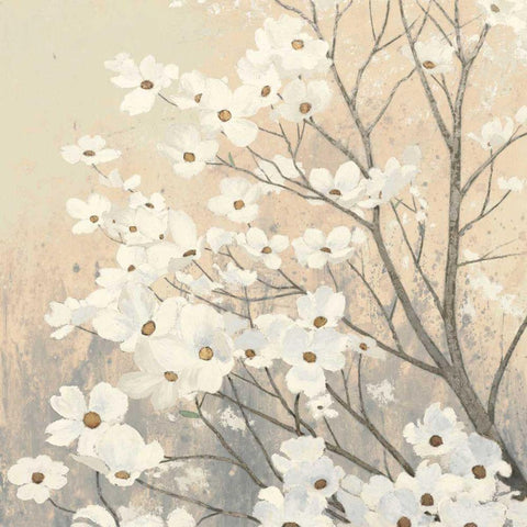 Dogwood Blossoms II Neutral Black Modern Wood Framed Art Print with Double Matting by Wiens, James