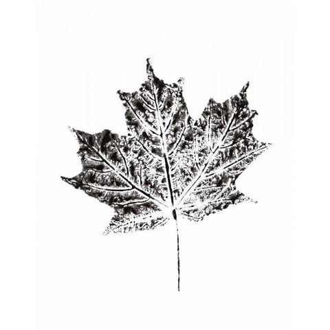 Harvest Sentiments I BW no Words Black Modern Wood Framed Art Print by Hershey, Moira