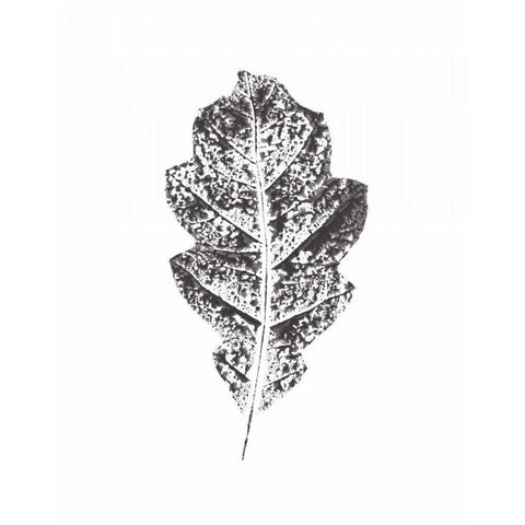 Harvest Sentiments VIII BW no Words Gold Ornate Wood Framed Art Print with Double Matting by Hershey, Moira