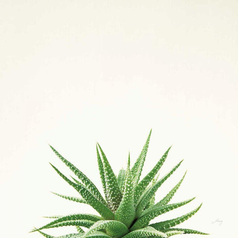 Succulent Simplicity I Neutral Black Modern Wood Framed Art Print by Bradley, Felicity