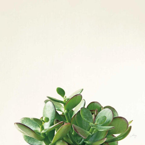 Succulent Simplicity III Neutral White Modern Wood Framed Art Print by Bradley, Felicity