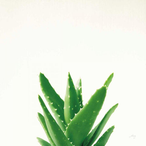 Succulent Simplicity V Neutral Black Ornate Wood Framed Art Print with Double Matting by Bradley, Felicity