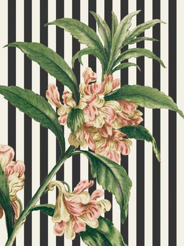 Herbal Botanical XXVI Bold White Modern Wood Framed Art Print with Double Matting by Wild Apple Portfolio