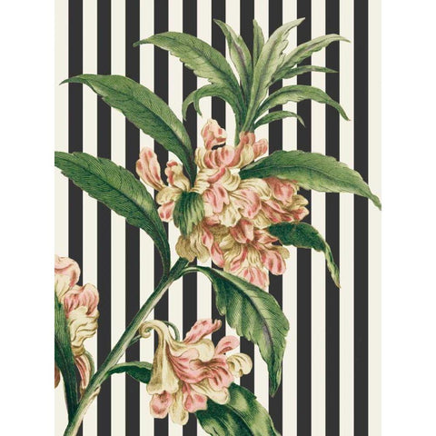 Herbal Botanical XXVI Bold Black Modern Wood Framed Art Print by Wild Apple Portfolio