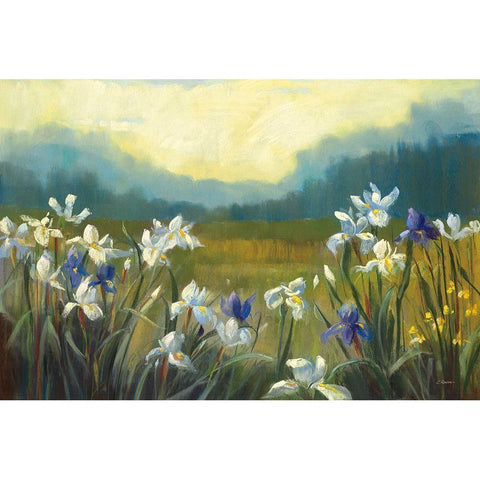 Wild Iris White Modern Wood Framed Art Print by Rowan, Carol