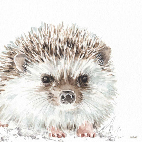 Forest Friends I Black Ornate Wood Framed Art Print with Double Matting by Audit, Lisa