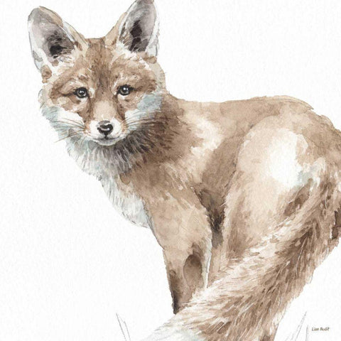 Forest Friends V White Modern Wood Framed Art Print by Audit, Lisa