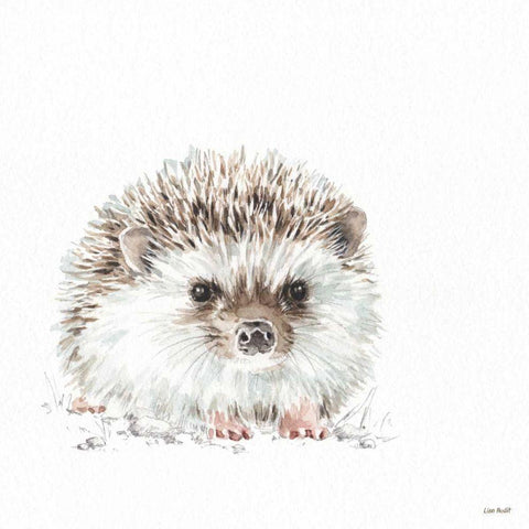 Forest Friends VII Black Modern Wood Framed Art Print with Double Matting by Audit, Lisa