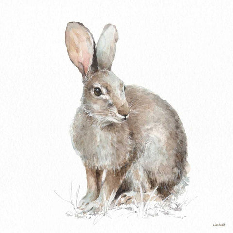 Forest Friends VIII White Modern Wood Framed Art Print with Double Matting by Audit, Lisa