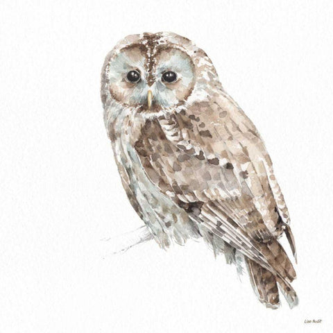 Forest Friends IX Black Modern Wood Framed Art Print with Double Matting by Audit, Lisa