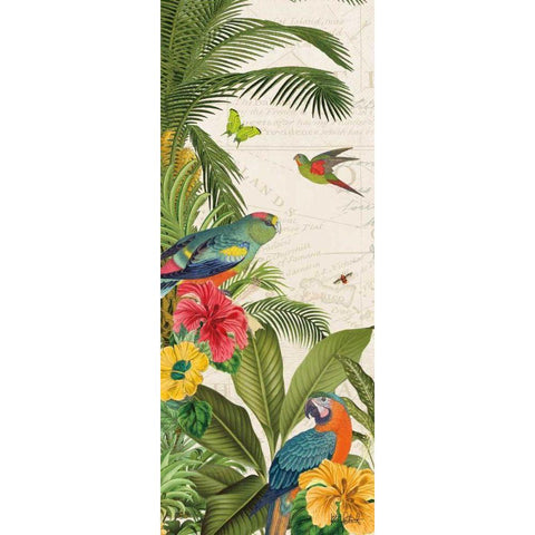 Parrot Paradise VI Black Modern Wood Framed Art Print with Double Matting by Pertiet, Katie