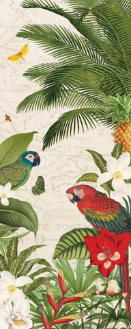 Parrot Paradise VII White Modern Wood Framed Art Print with Double Matting by Pertiet, Katie