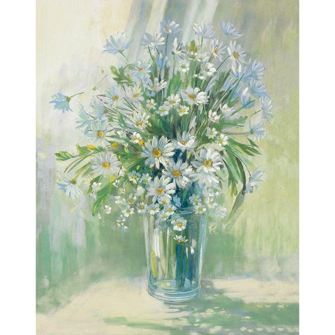 Sunlit Daisies White Modern Wood Framed Art Print by Rowan, Carol