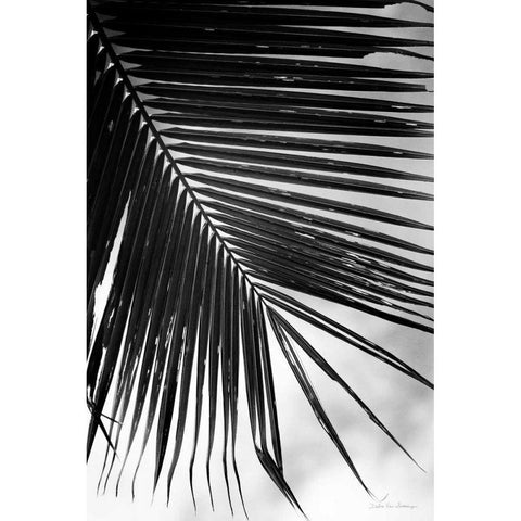 Palm Frond II Gold Ornate Wood Framed Art Print with Double Matting by Van Swearingen, Debra