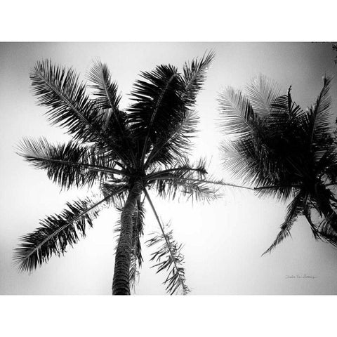 Palm Tree Looking Up II Gold Ornate Wood Framed Art Print with Double Matting by Van Swearingen, Debra