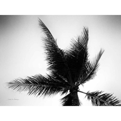 Palm Tree Looking Up IV White Modern Wood Framed Art Print by Van Swearingen, Debra