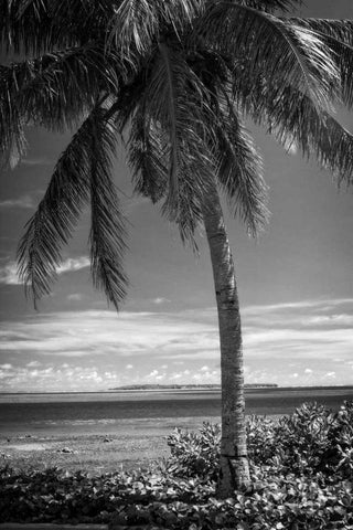 Ocean View Black Ornate Wood Framed Art Print with Double Matting by Van Swearingen, Debra