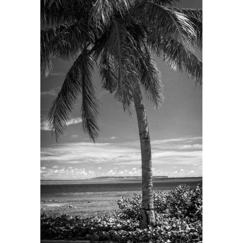 Ocean View White Modern Wood Framed Art Print by Van Swearingen, Debra